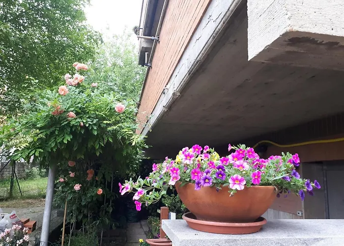 Oda ve Kahvaltı Papa Leone Countryrooms 4*